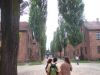 Auschwitz 013.jpg