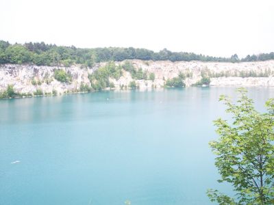 Cliquez pour voir l'image en taille relle