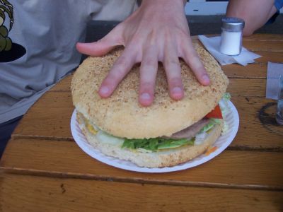 Cliquez pour voir l'image en taille relle
