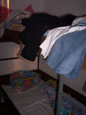 Cliquez pour voir l'image en taille relle