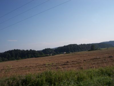 Cliquez pour voir l'image en taille relle