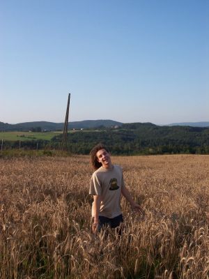 Cliquez pour voir l'image en taille relle