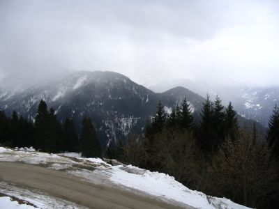 Cliquez pour voir l'image en taille relle